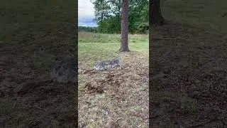 Confederate Burial Pits at The Wilderness #civilwar