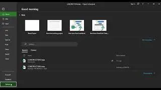 OPTIONS IN MS PROJECT