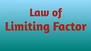 Law of Limiting Factor