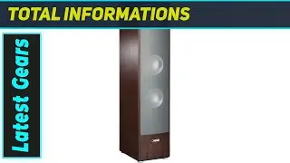 Canton Ergo 695 DC: Best Audiophile Floorstanding Speakers?