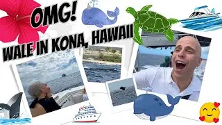 Weltreise: Wal-Tour in Kailua-Kona auf BIG ISLAND, Hawaii