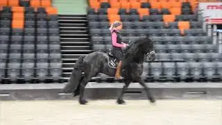 Sandra Plasser bei Apassionata in Neu Ulm