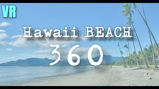 HAWAII BEACH 360 VR - PICNIC AT THE BEACH