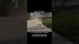 Lawn Edging✂️ [Driveway] Get Edged #shorts #satisfying #lawncare #asmr