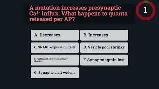 USMLE QUIZ, Synaptic Transmission