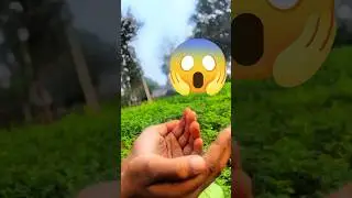 Farming Reel💡💖 #niraj_yadav076 #farming #nature #punjabisong #song #khetibadi #viral #viralshorts