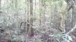 Pedal em Vilhena - Trilha do Claudionor