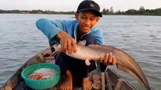 19 Tuổi Làm Nghề giăng Câu Ăn Tết Dính Cá Ngát Khủng # SĂN BẮT ĐỒNG THÁP #