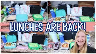Kids School Lunchboxes | Easy & Quick Options for Picky Eaters
