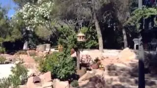 Pigeon problem solved