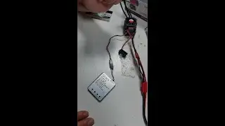 SURPASS HOBBY Program Card