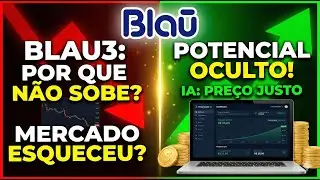 Blau Farmac&ecirc;utica (BLAU3): Fundamentos de Elite e Pre&ccedil;o Descontado. Onde Est&aacute; a Pegadinha?
