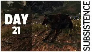Running the fence line in Subsistence