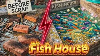 FISH House বানালাম | How to Make a Fish Tank 🥰 #fishtank #shortsfeed #youtubevideo #minivlog 