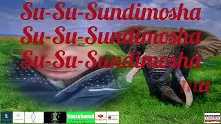 Sundimosha (w/ $wepalicious Ultr@rium) - EXTworldfantasy Milkywaygalaxy Records