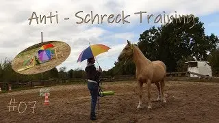 🐎 Let's Horse #007: Anti-Schreck Training f&uuml;rs Pferd