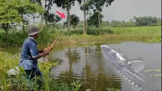 Traditional Hook Fishing&nbsp;| Catching Big Catfish by Hook | Best Fishing Video 2020 #fishing_by_hook