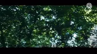 Mocking Jay Whistle