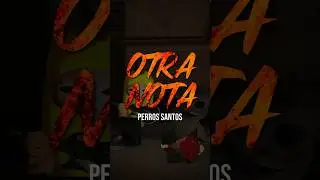 OTRA NOTA 🔥 - Perros Santos #musica #indie #rock #temazo #dedicar #letra #edit #peru