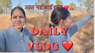 आज गई माई थान 🛕❤️||  गांव में बढ़ गया है जानवरों का डर 😢