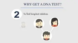 Guide to DNA Tests: What Are They & How Do They Work?