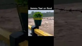 Flood Horror! 🌊 Tawi River Unchained #FlashFloods #JammuRains #PrayForJammu