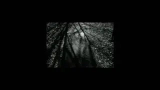 Ysp x DA grioht - the real
