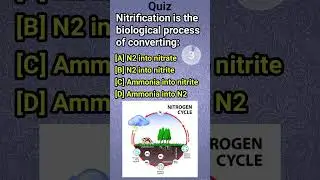 Nitrification is the biological|N2 into nitrate|N2 into nitrite|Ammonia into nitrite|Ammonia into N2