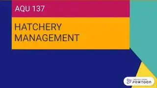AQU137 HATCHERY MANAGEMENT- PRESENTATION 1