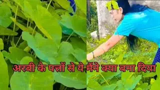 अरबी के पत्तो से स्पेशल डिश#mini blog#first mini blog#trending video#special dish#YouTube video#💯🙏🙏💯