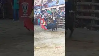 Toros Jarandilla de la Vera 2025 Rafael Cerro y Pablo Mayoral #tradiciones  #toros #flamenco