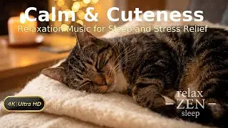 Marble the Sleeping Cat 🐾 432Hz Gentle Piano for Deep Calm & Relaxation