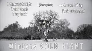 Winters Cold Night - Unreal Engine 4 MUSIC package (samples)