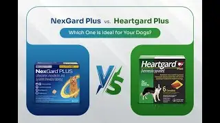 Nexgard Plus vs Heartgard Plus Product Comparison