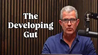 The Developing Gut - Gut Maturity over Protocol
