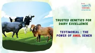 Farmers Trust Amul Novo Genes | Real Testimonials from the Field