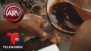 Aseguran que la sangre de árbol tiene poderes curativos | Al Rojo Vivo | Telemundo