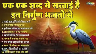 एक एक शब्द मे सच्चाई है इन निर्गुण भजनो मे   निर्गुण भजन  Nonstop Nirgun Bhajan   Satsangi Bhajan