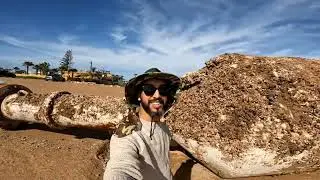 أمواج البحر تخرج بوي عملاق إلى الشاطئ