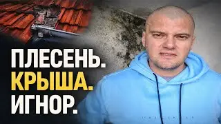 Плесень в съёмной квартире в Германии Hausverwaltung, крыша и Mietminderung