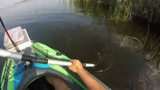 Bass Attack at Boskop Dam
