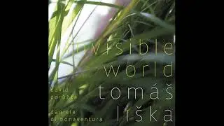 Tom&aacute;&scaron; Li&scaron;ka - Forever Lost