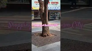 Shopping at Bankstown City NSW Australia #sydneywalk #exploringaustralia  #travelsydney