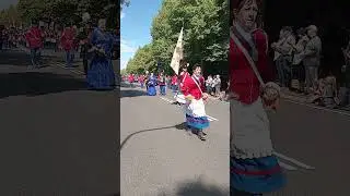 schutterij Sint Joseph Sweikhuizen tijdens de optocht op het bondsfeest in Sittard.