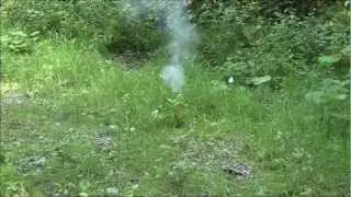 NitroBomb