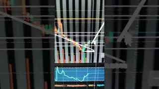 MULN Stock Is Making Premarket Moves Here Is Whats Next!