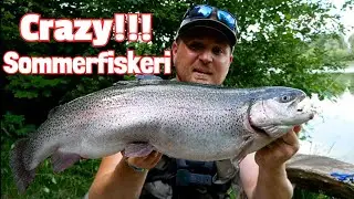 VANVITTIGT SOMMERFISKERI I PUTTEN!! SPOTFISKERI EFTER STORE BASSER