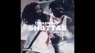 TRA8WAVY - SHATTAS ( teddy bruckshut)