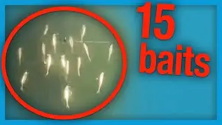 Японская оснастка &laquo;Алабама&raquo; с 15 приманками выглядит невероятно.