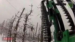 Cięcie mechaniczne jabłoni 2013 Fama CMA 250 (Apple orchad mechanical pruning,mechanischen Schnitt)